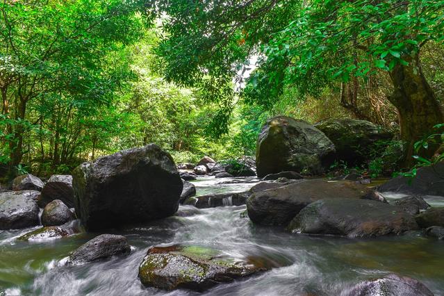 Thap Lan National Park